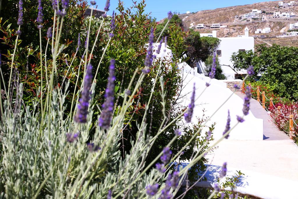 Aelia Mykonos Ξενοδοχείο Ορνός Εξωτερικό φωτογραφία